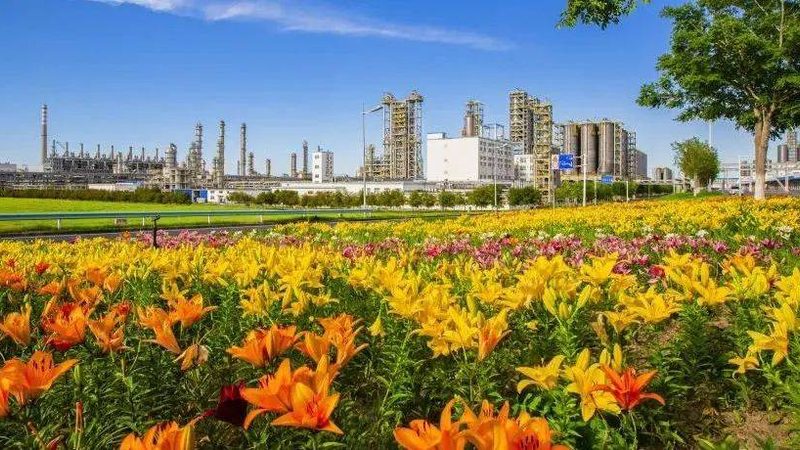 揭秘进口工程塑料原料批发代理的奥秘